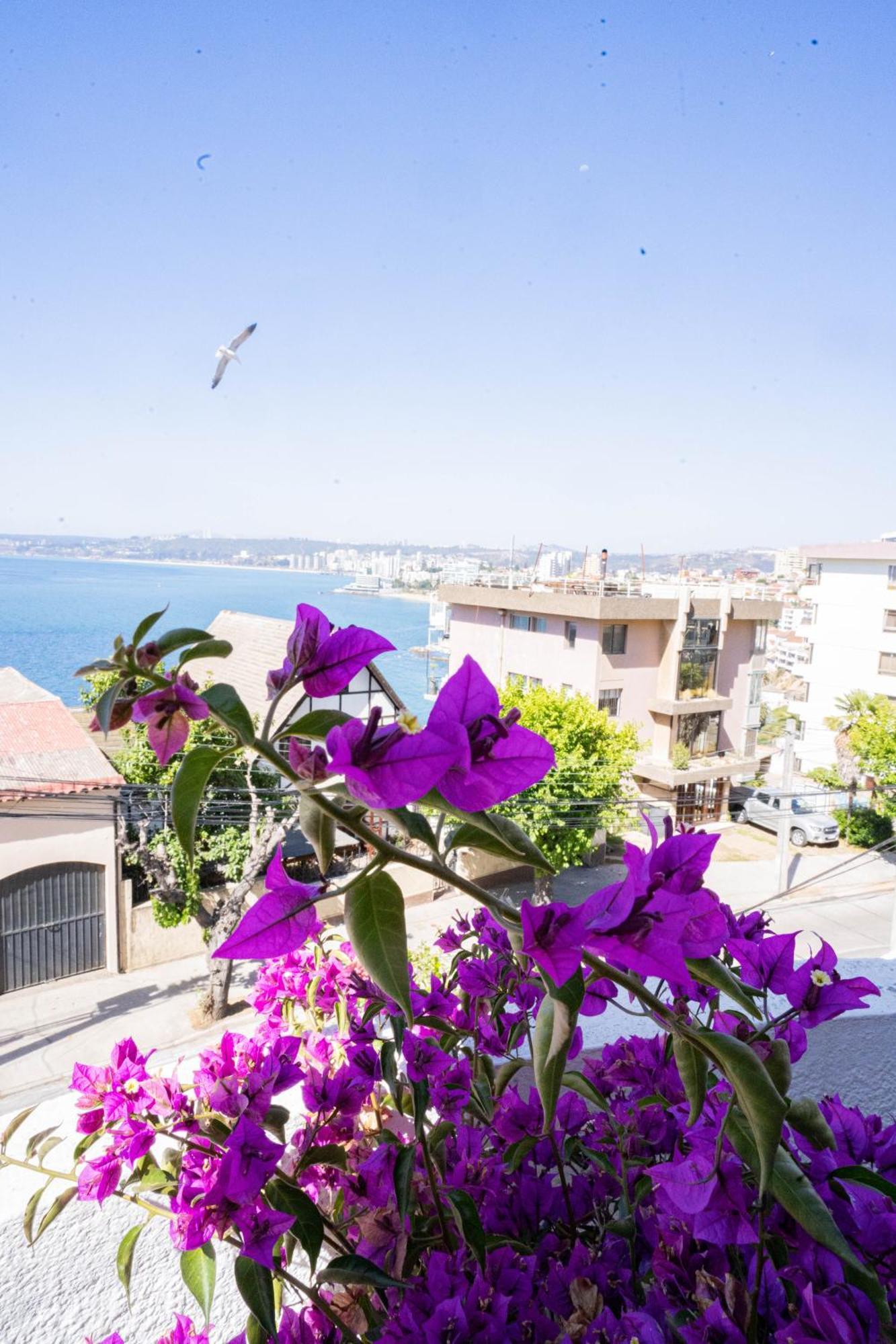 Hotel Vista Velero فينيا ديل مار المظهر الخارجي الصورة
